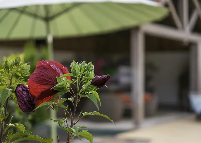 Apartmán Cosy Et Chaleureux 6 Personnes La Baffe